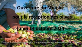 ouverture apports 2024