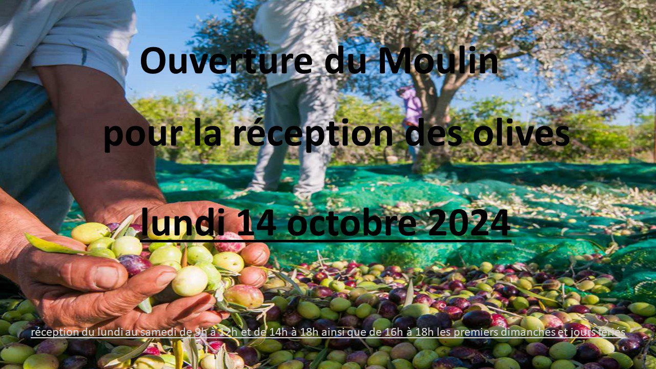 ouverture apports 2024