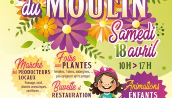 Affiche site ineternet