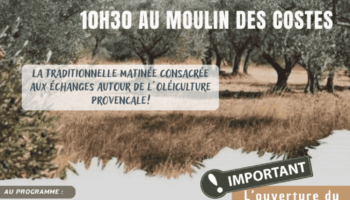 Affiche olivades 2026
